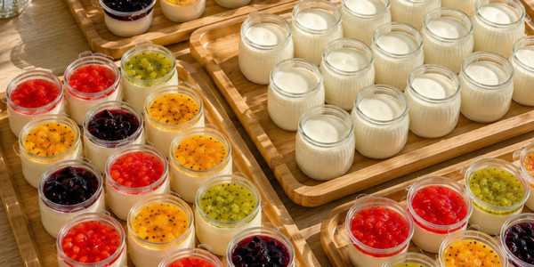 Sữa Chua & Panna Cotta - NHÀ BENZ