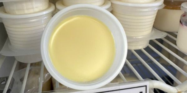 Yaourt Phô Mai Đà Lạt - Phạm Đăng Giảng