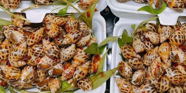 Tiệm Bé Gạo - Phan Huy Ích