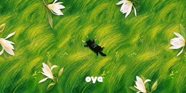 OYE! - Phan Đăng Lưu