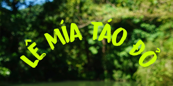 Lê Thị Mèo - Hội An