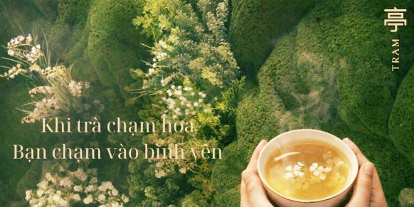 TRAM Coffee - Cống Quỳnh