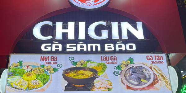 Chigin - Gà Sâm Báo