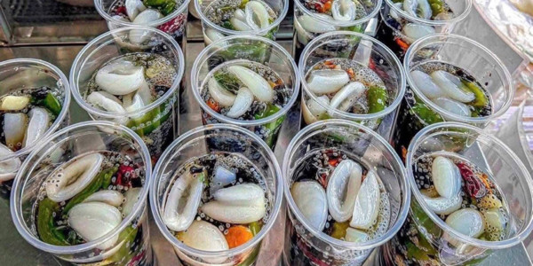 Mộc Trà  - Sâm Dừa Nước  - Lê Văn Lương