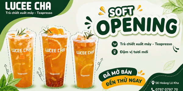Lucee Cha - Trà Chiết Xuất Máy Teapresso - Hoàng Lê Kha