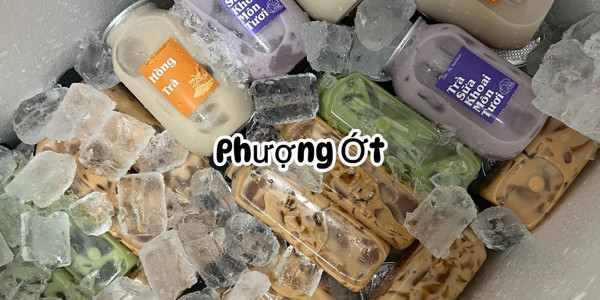 Phượng Ớt - Hồng Hà