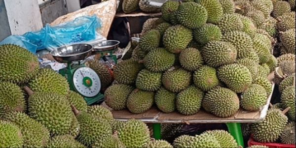 Sầu Riêng Sạch Bốn Mùa