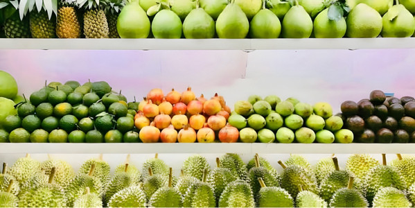 SonFood - Trái Cây & Nước Ép