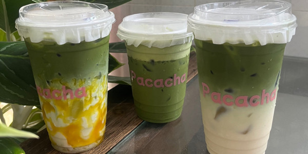 Pacacha Matcha - Coffee, Cacao & Milk Tea