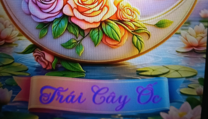 Trái Cây Ốc - Ăn Vặt Tại Nhà - Đào Duy Từ