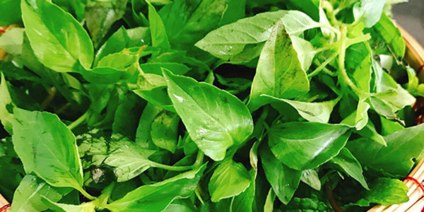 Lẩu Gà Lá É Tao Ngộ