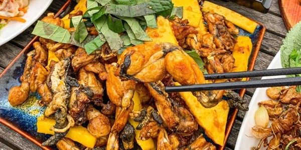 Lẩu Ếch Đồng Dương Gia