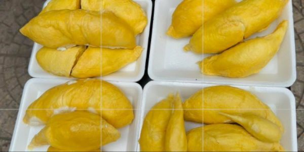 Thiên Phú Food