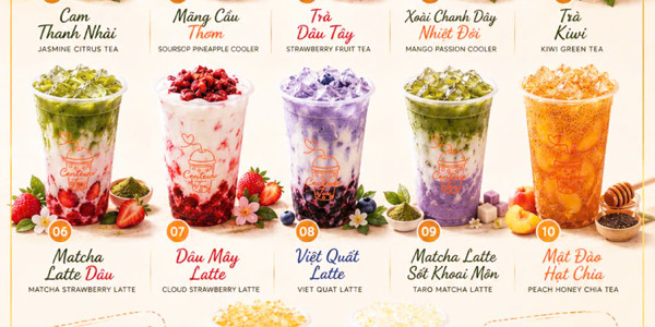 Centaurus Tea - Tôn Đản
