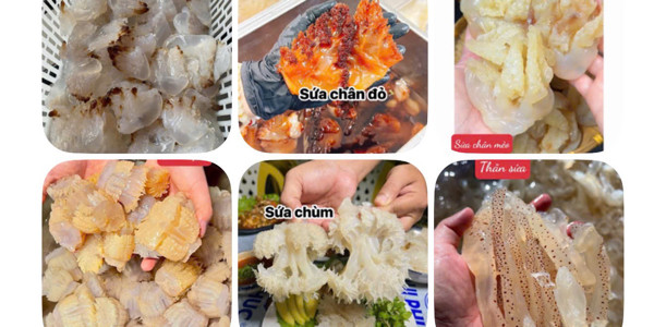 Chân Gà Sốt Thái - Em Út