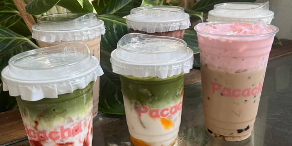 Pacacha Matcha - Coffee, Cacao & Milk Tea