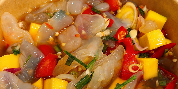 Ellamay - Hải Đăng