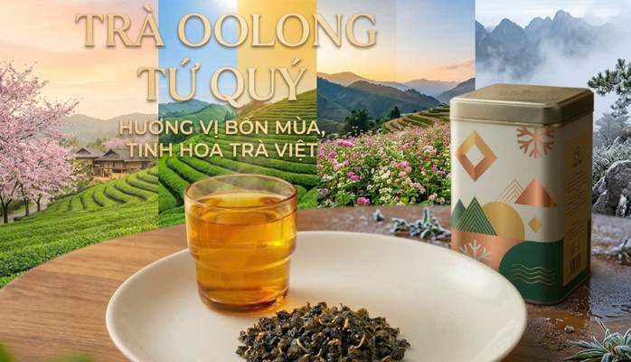 Tiệm Trà Oolong - Trà Sữa Oolong - Đường Phó Cơ Điều