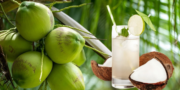 Nước Dừa Tươi BẾN TRE - Đường Số 59