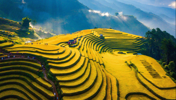 Ban Tang - Testing  - Trần Hưng Đạo