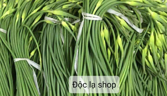 Độc Lạ - Rau Củ - Nhiêu Tứ