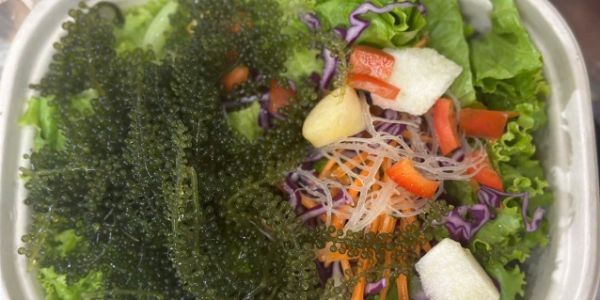 Tiệm Nhà Ry - Ngô Đức Kế