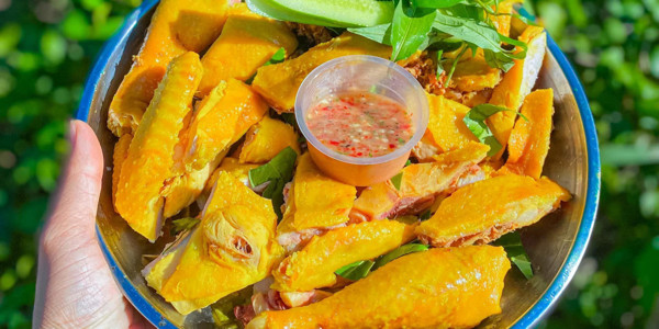 Người Thương Ơi - Phan Bội Châu