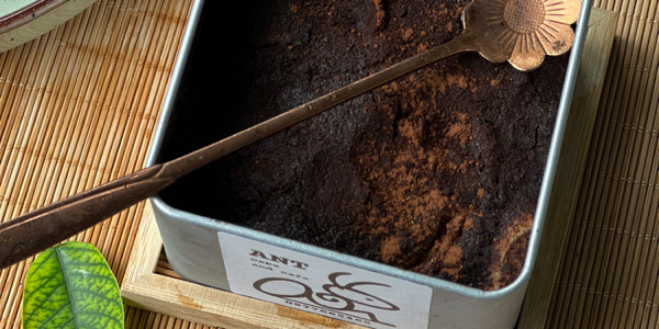 ANT Cake And Cafe - Tiệm Bánh, Ăn Vặt & Đồ Uống - Thủ Khoa Huân