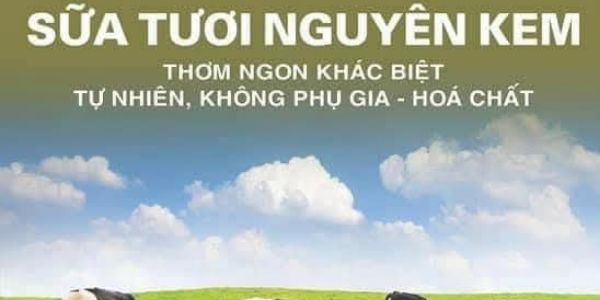 The Ami’s - Trần Hưng Đạo