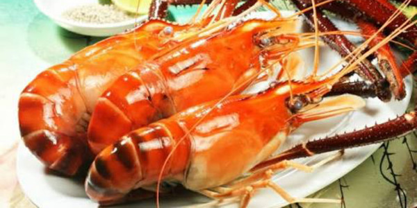 Vựa Hải Sản Thành Đô - Bình Chuẩn