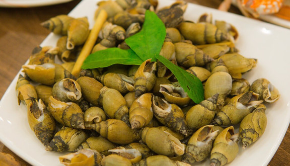 ỐC An Nhiên - 1 - NGUYỄN XIỂN