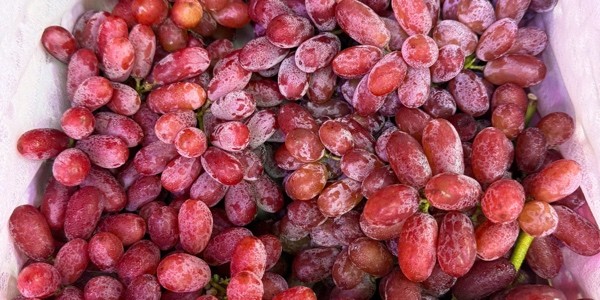 Shop Trái Cây Thanh Uyên