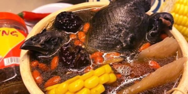 Toktok - Món Ăn Bổ Dưỡng