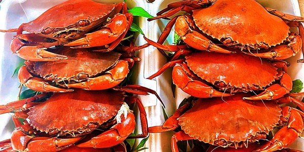 Miến Cua 1997 - Tô Ngọc Vân