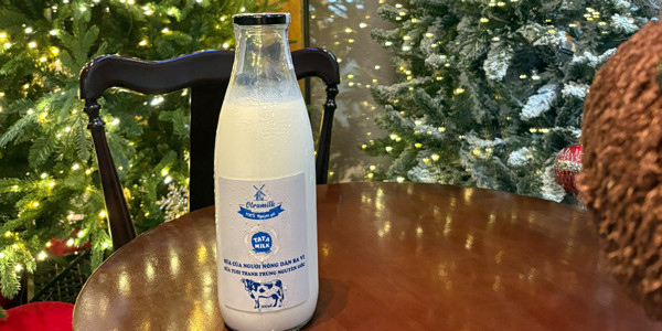 Ciao - Yogurt - Thanh Bình