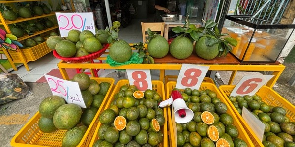 TRÁI CÂY TƯƠI LIN HOME - Cam Ép