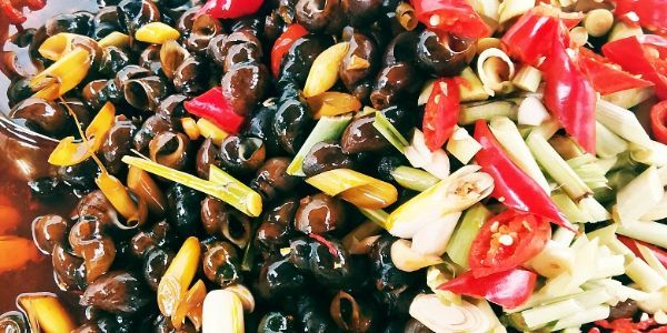 Ốc Dần - Ốc & Chân Gà