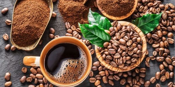 Tigôn Coffee - Cà Phê Sữa Dừa