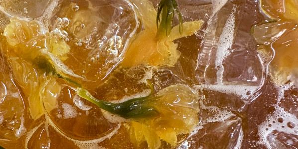 Tiệm Trà Sữa Tiny - Huỳnh Tấn Phát