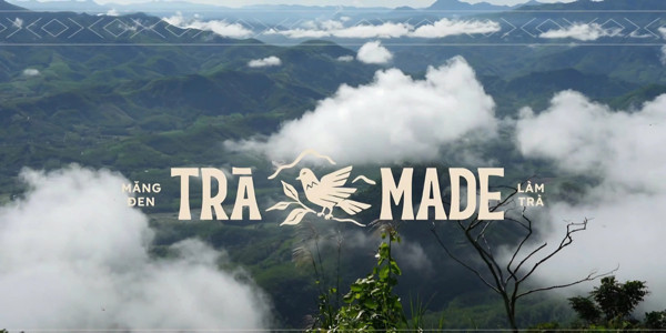 Trà Made Hải Phòng - Măng Đen Làm Trà