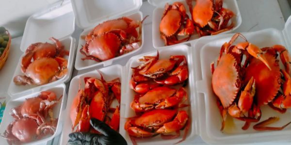Đặc Sản Cua Cà Mau - Chi Nhánh 2