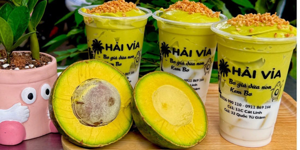 Bơ Già Dừa Non - Quốc Tử Giám