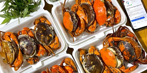 Hải Sản - Ngọc Ngân - Nguyễn Văn Thiệt