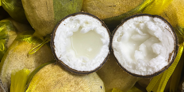 Sầu Riêng Sạch & Dừa Sáp Đặc Trà Vinh - Mỹ Đình