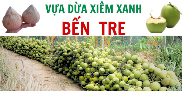 Xanh Lá - Vựa Dừa Bến Tre