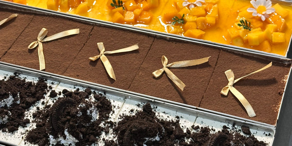 HUM CAKE - TIRAMISU - LŨY BÁN BÍCH