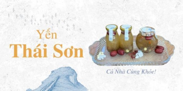 Yến Chưng Tươi - Thái Sơn