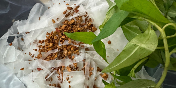 Ăn Vặt MeoMeo - Mì Cay & Mì Trộn - Đường Số 8