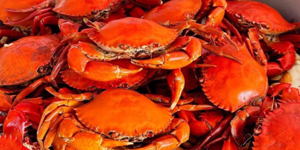 Cua Hấp Ngân Ngân - Bình Tân