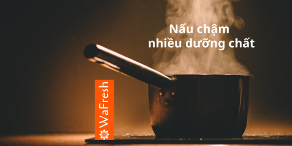 WaFresh - Trà Thảo Mộc Không Đường